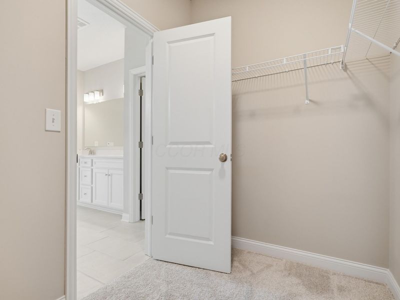 4509 Nonius Drive, Hilliard, OH 43026 Photo 36