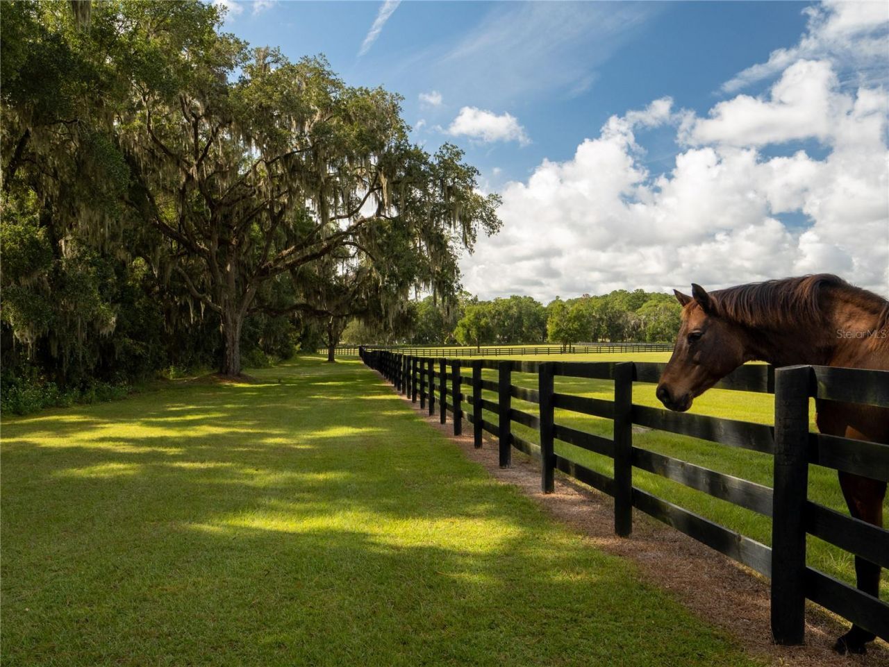 2875 NW 150th Avenue, Ocala, FL 34482 Photo