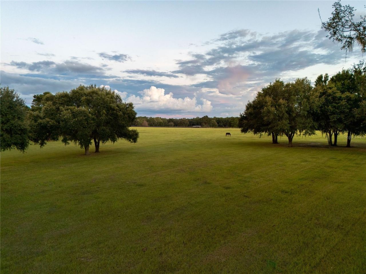 2875 NW 150th Avenue, Ocala, FL 34482 Photo