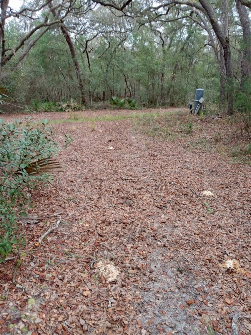 28095 SE Highway 42, Umatilla, FL 32784 Main Photo