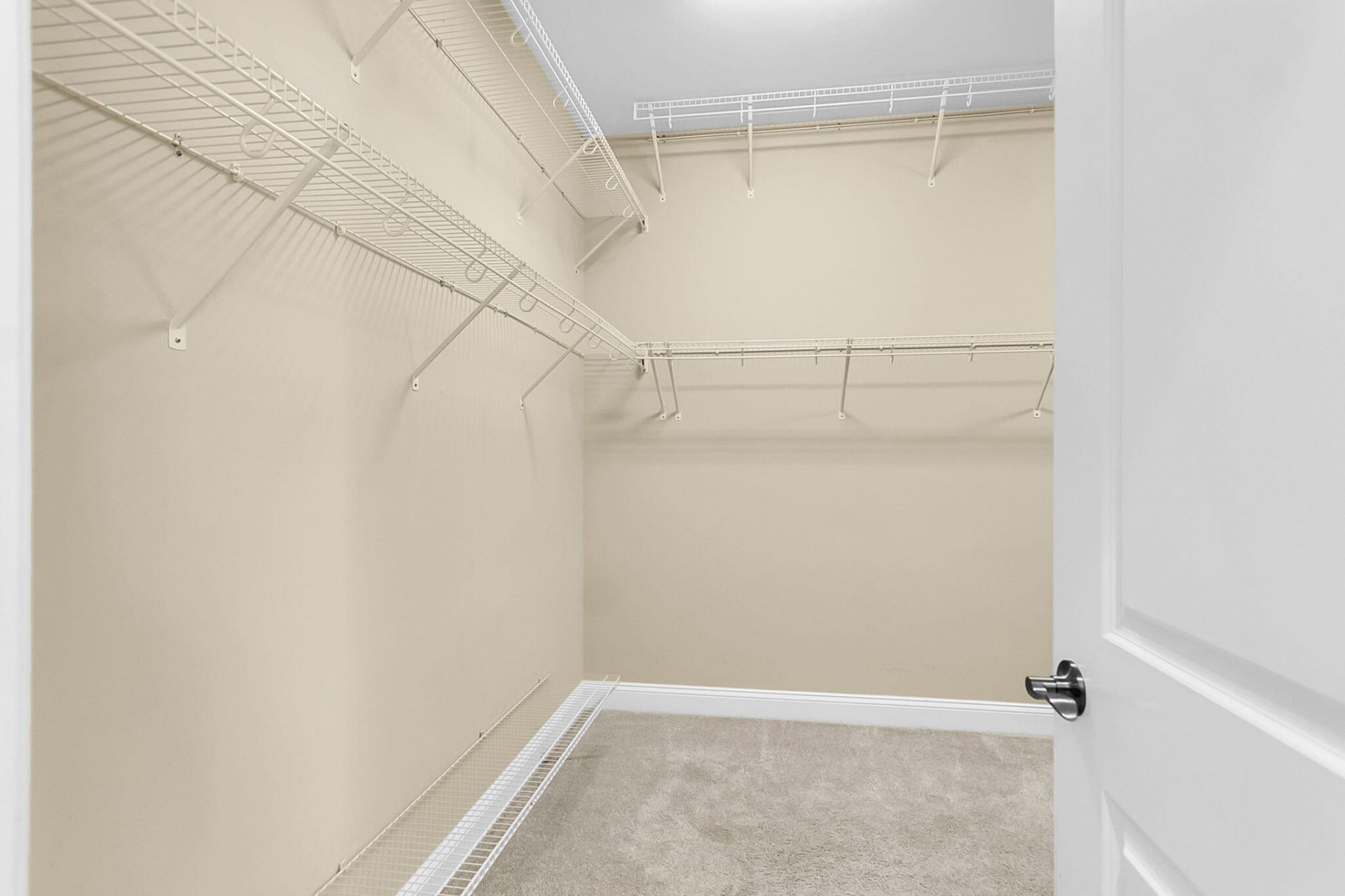 3062 Cross Vine Lane Photo 29