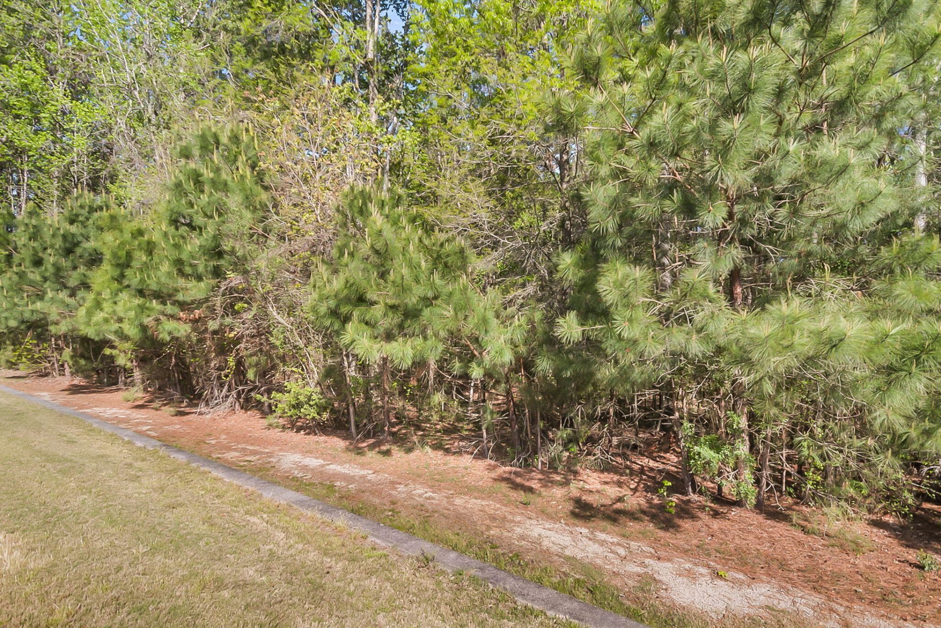 3062 Cross Vine Lane Photo 46