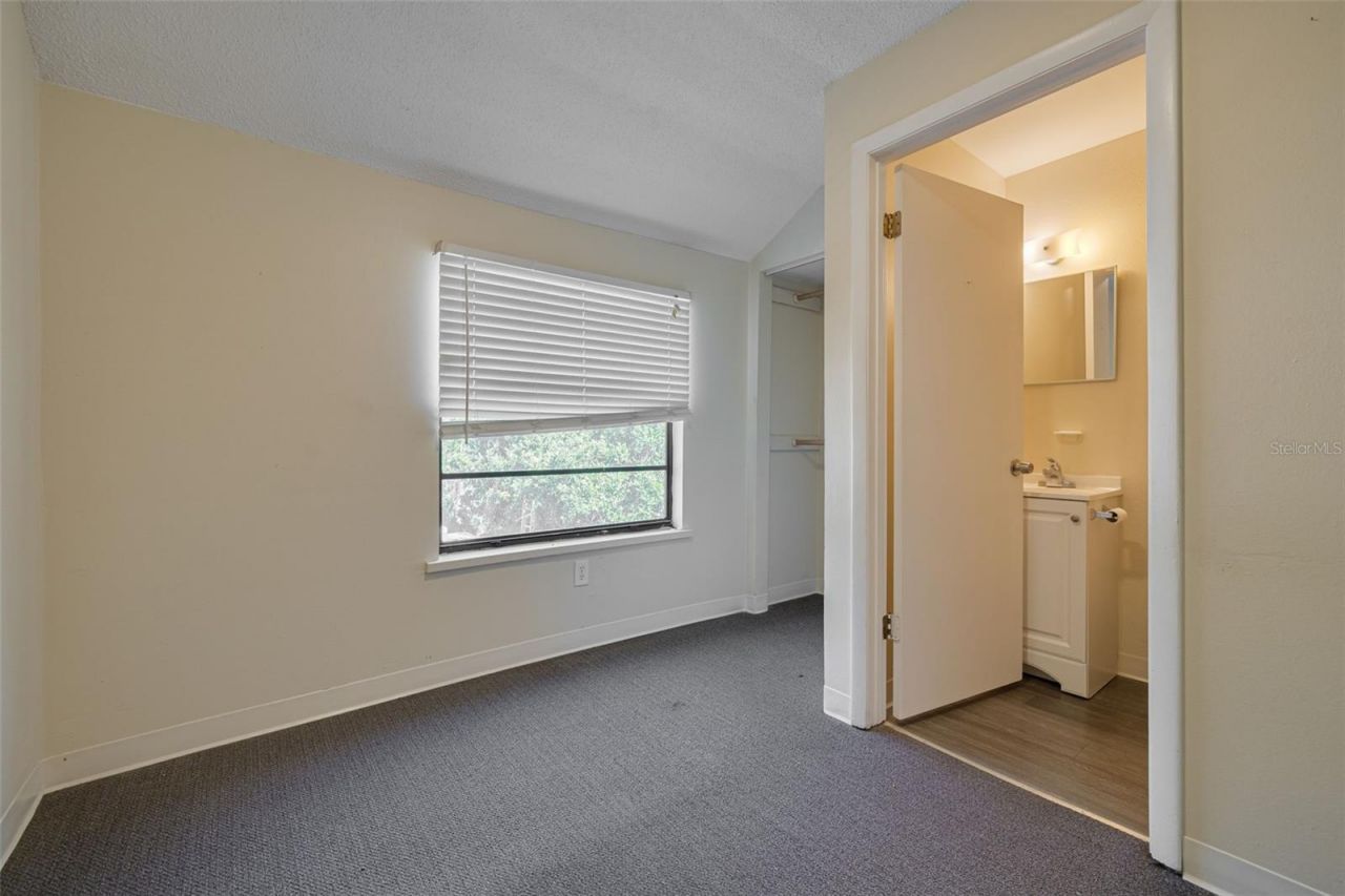 220 Scotland Street, Dunedin, FL 34698 Photo