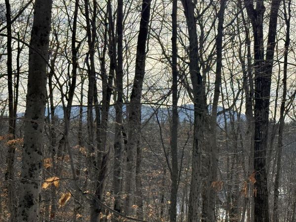 Lot 15-3B Sweden Road , Bridgton, ME 04009