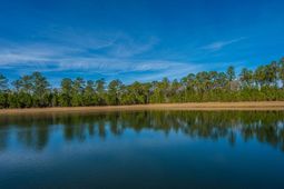 5049 Cranesbill Way photo 4