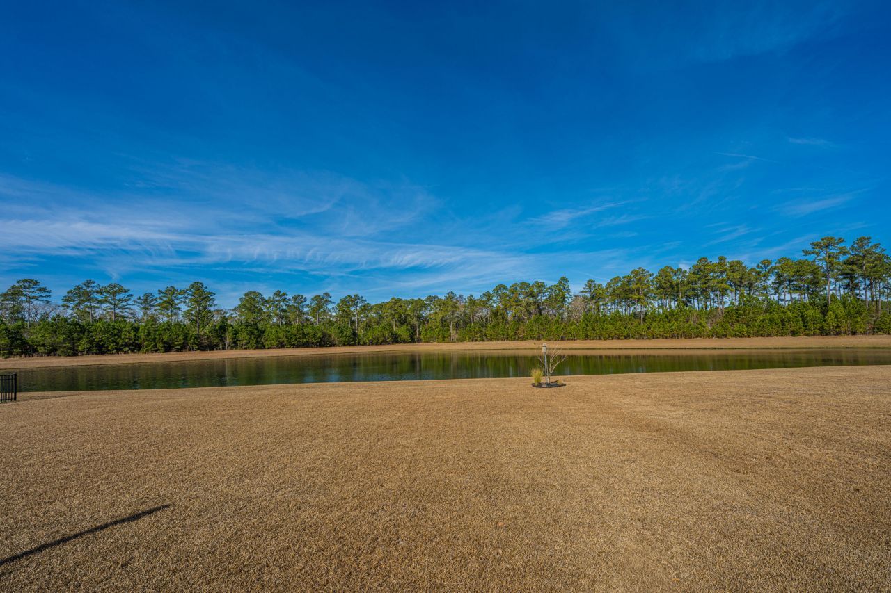 5049 Cranesbill Way Photo 38