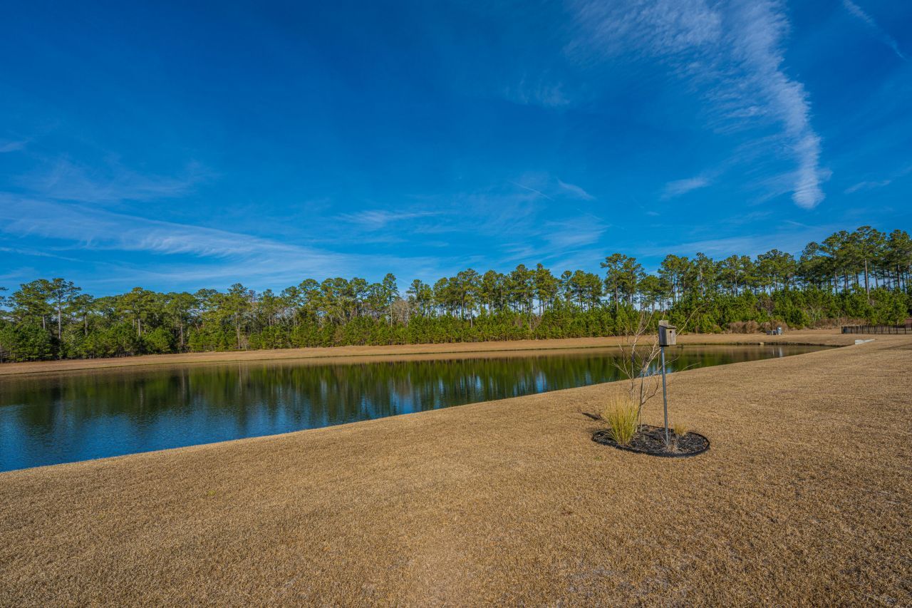 5049 Cranesbill Way Photo 4