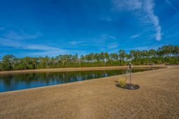 5049 Cranesbill Way photo 4