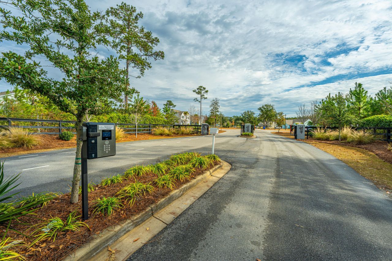 5049 Cranesbill Way Photo 46