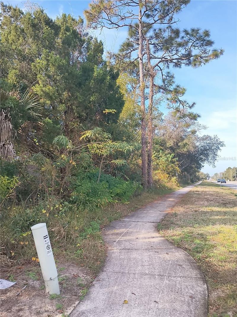 Doyle Road, Deltona, FL 32738 Photo