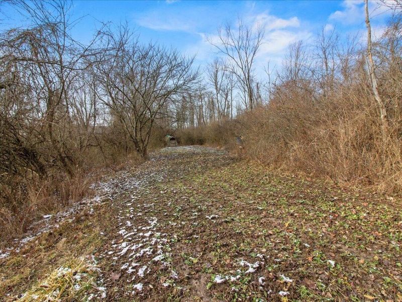 10019 Township Road 227, East Liberty, OH 43319 Photo 52