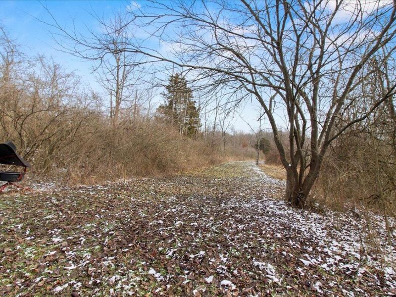 10019 Township Road 227, East Liberty, OH 43319 Photo 53