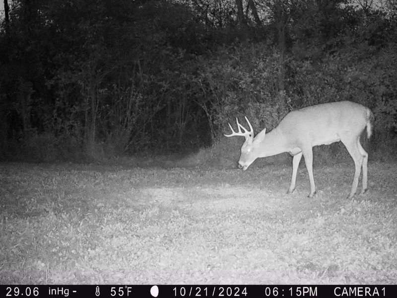 10019 Township Road 227, East Liberty, OH 43319 Photo 58