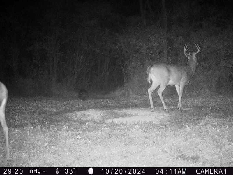 10019 Township Road 227, East Liberty, OH 43319 Photo 59