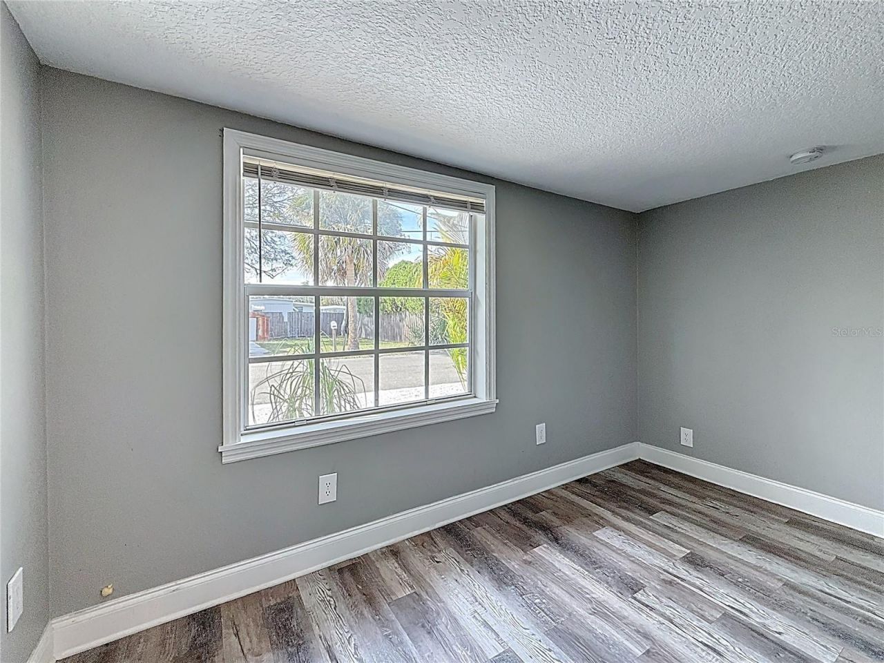 1125 Michigan Drive N, Dunedin, FL 34698 Photo