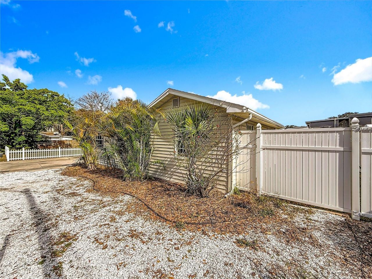 1125 Michigan Drive N, Dunedin, FL 34698 Photo