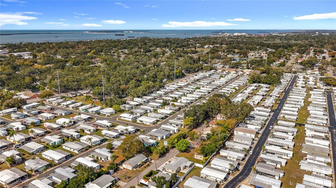 1125 Michigan Drive N, Dunedin, FL 34698 Photo