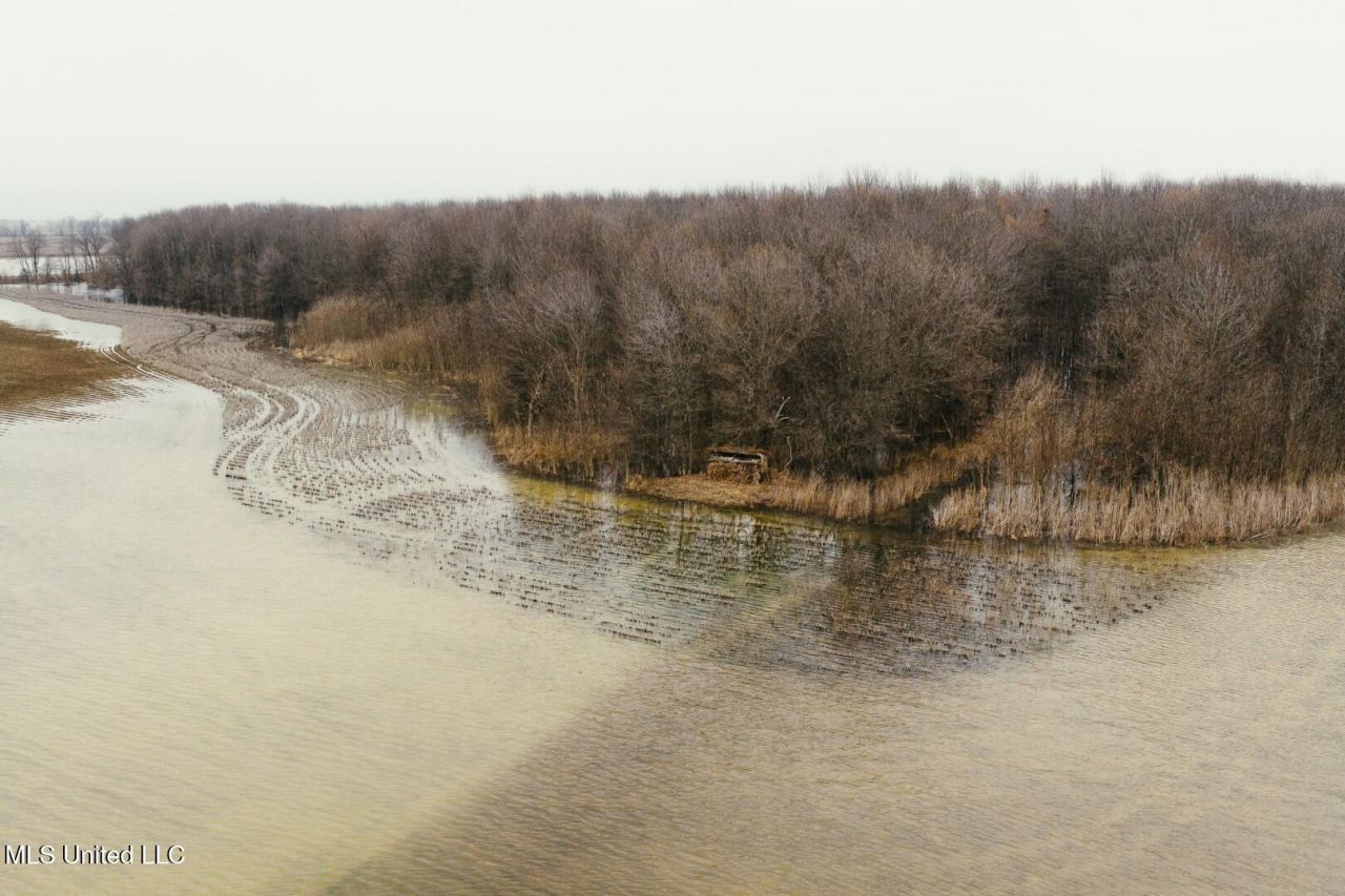 660 E New Africa Road, Alligator, MS 38720 Main Photo