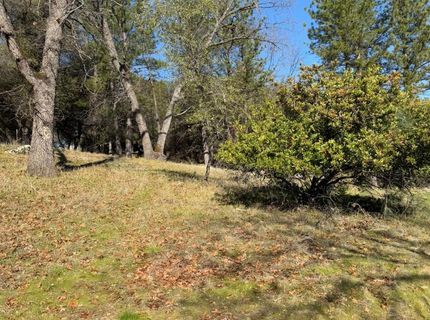 6271 Arch Ln, Placerville, CA 95667 Photo