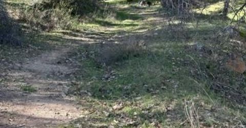 6271 Arch Ln, Placerville, CA 95667 Photo