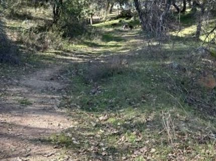 6271 Arch Ln, Placerville, CA 95667 Photo