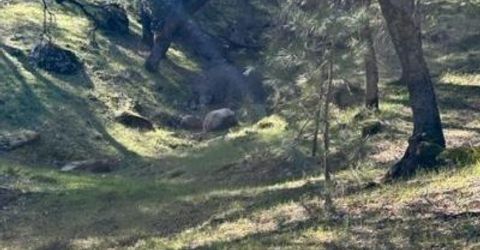 6271 Arch Ln, Placerville, CA 95667 Photo