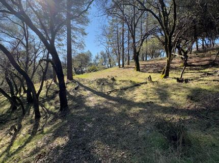 6271 Arch Ln, Placerville, CA 95667 Photo