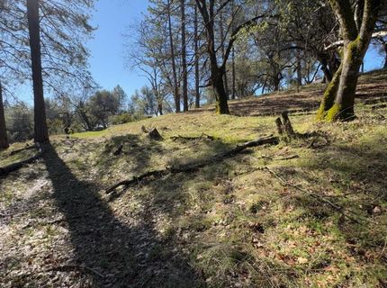 6271 Arch Ln, Placerville, CA 95667 Photo