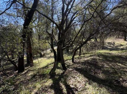 6271 Arch Ln, Placerville, CA 95667 Photo