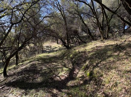 6271 Arch Ln, Placerville, CA 95667 Photo