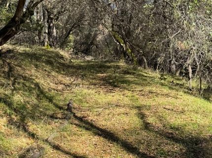 6271 Arch Ln, Placerville, CA 95667 Photo