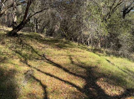 6271 Arch Ln, Placerville, CA 95667 Photo