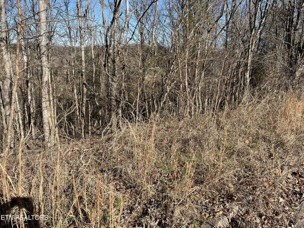 Baldwin View Drive, New Market, TN 37820