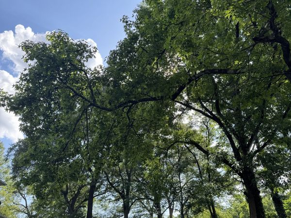 89 Ericson Street SE, Atlanta, GA 30317