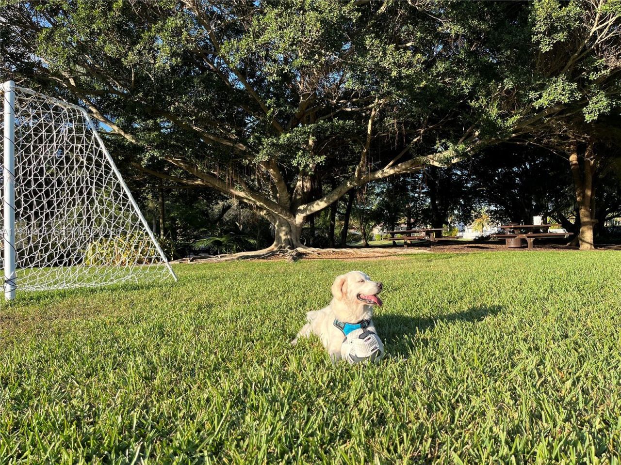 700 Verona Ct, Weston, FL 33326 Photo