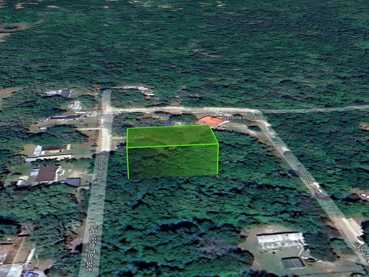 Ne 165th Terrace, Silver Springs, FL 34488