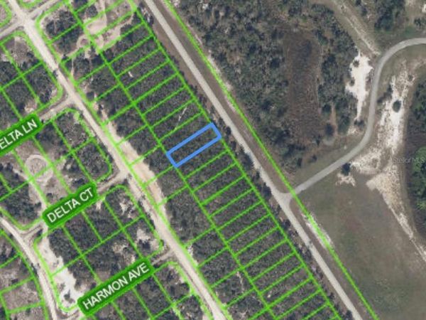 961 COUNTY ROAD 29, LAKE PLACID, FL 33852