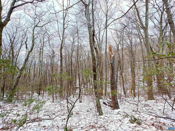 1843 WINTERGREEN DR, WINTERGREEN RESORT, VA 22967