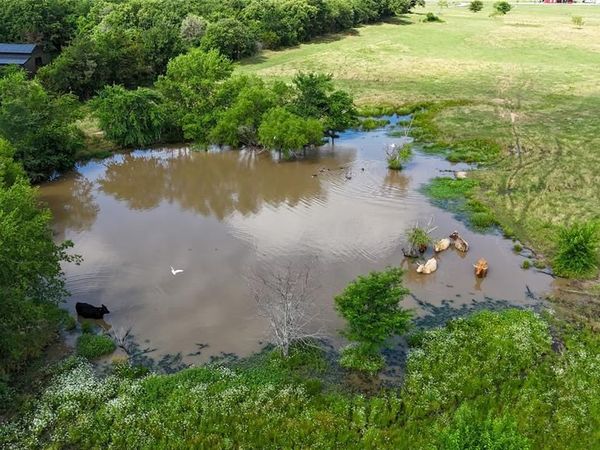 TBD CR 166, Callisburg, TX 76273