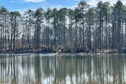 106 Admirals Point  photo 4