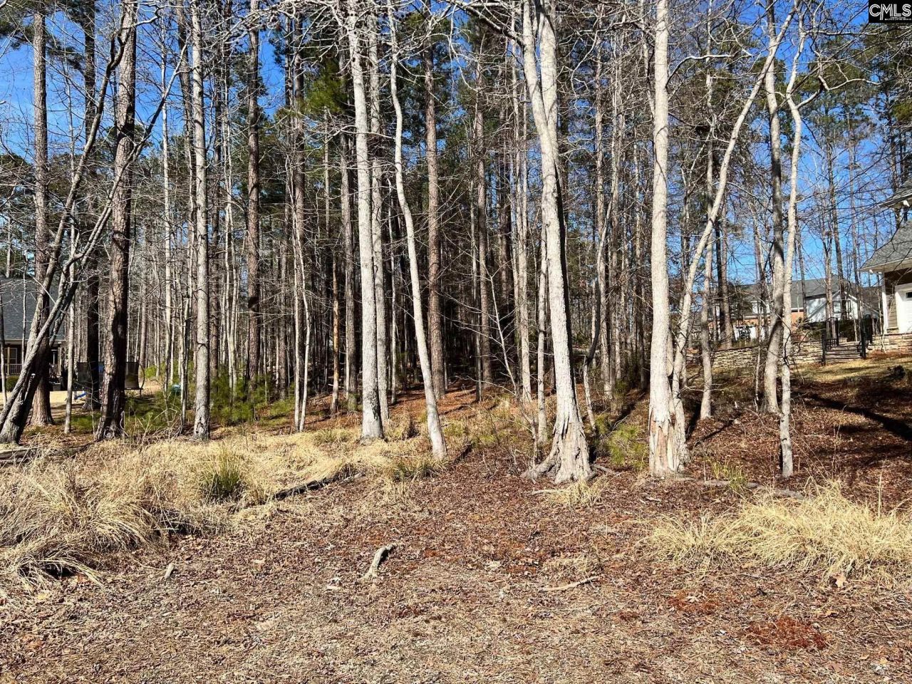 106 Admirals Point  Photo 6