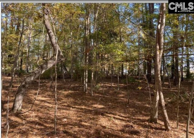 106 Admirals Point  Photo 7