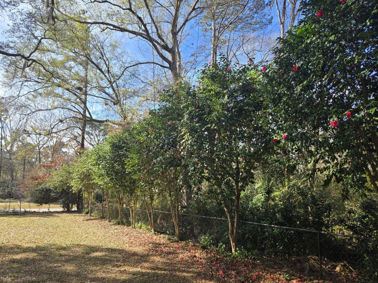 3538 Walter Drive Photo 42