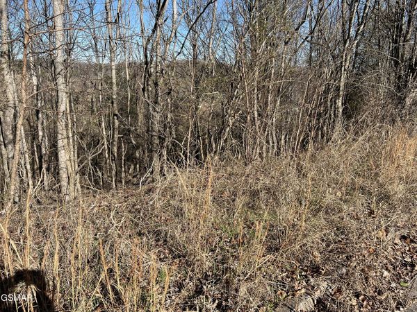 Lot 2 Baldwin View Drive, New Market, TN 37820