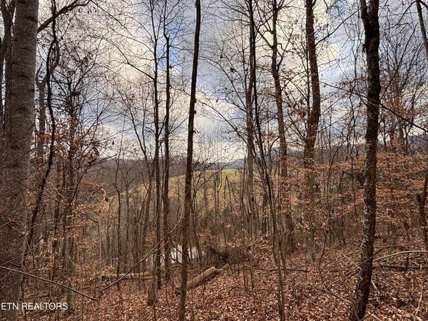 Mcgaha Hollow Rd, Dandridge, TN 37725