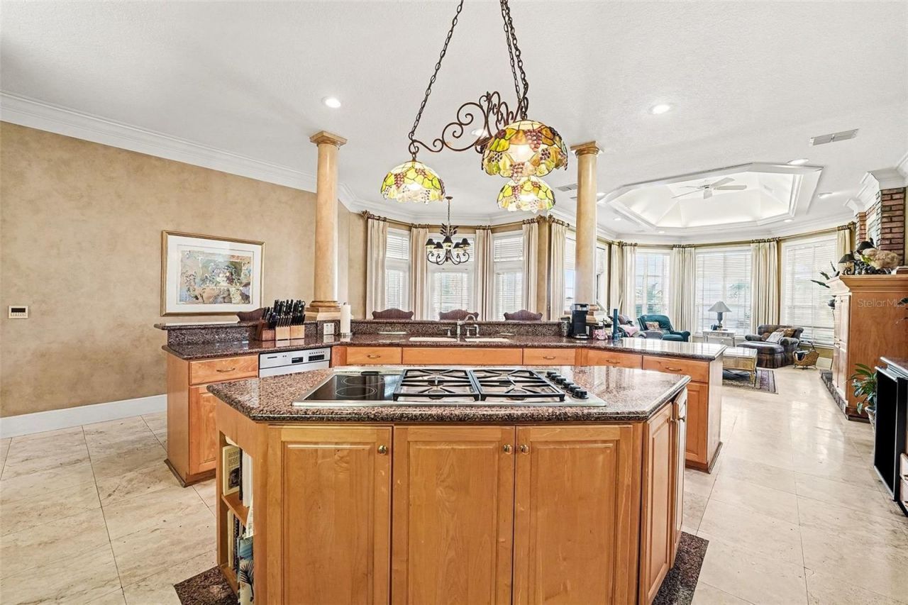 135 Van Fleet Court, Auburndale, FL 33823 Photo