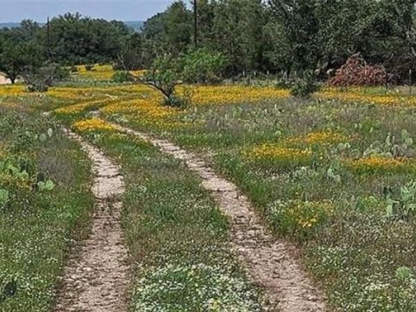 TBD Starks Road , Mason, TX 76856