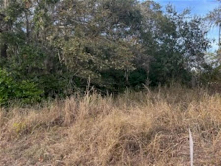 Property Image 5