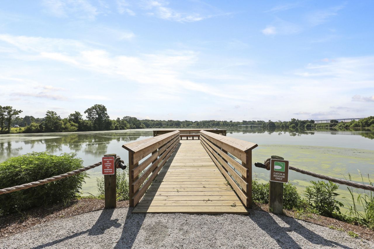 409 Tulip Poplar Drive Photo 12