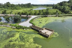 409 Tulip Poplar Drive photo 4